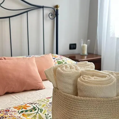 Casa Aly