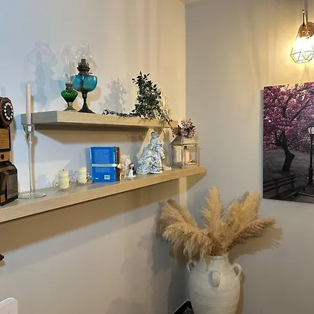Casa Aly